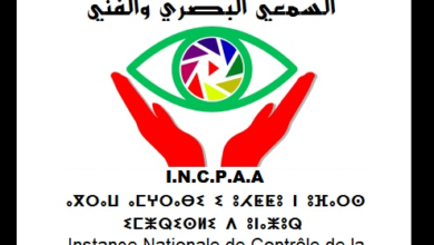 الهيئة الوطنية لمراقبة الإنتاج السمعي البصري والفني (INCPAA)